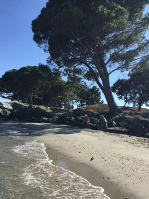 Appartement Tout Confort 2-4 Pers 500 M De La Plage Avec Piscine Et Wifi Santa-Maria-Poggio  Exteriör bild