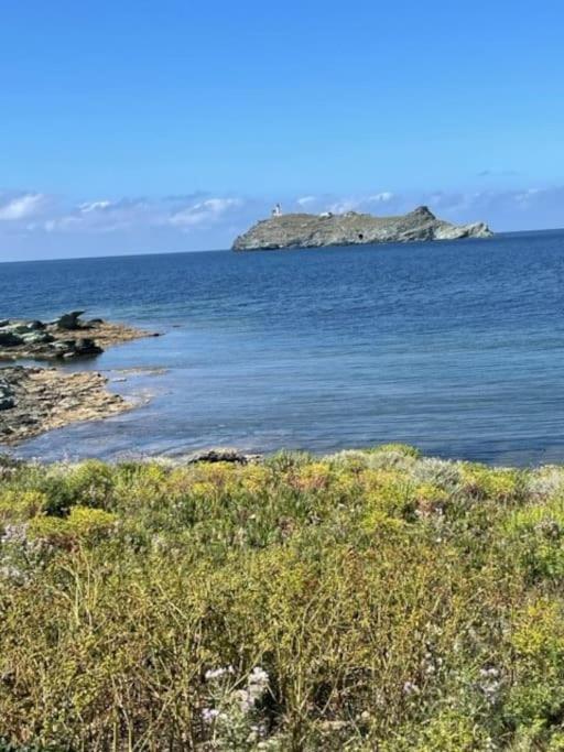Appartement Tout Confort 2-4 Pers 500 M De La Plage Avec Piscine Et Wifi Santa-Maria-Poggio  Exteriör bild